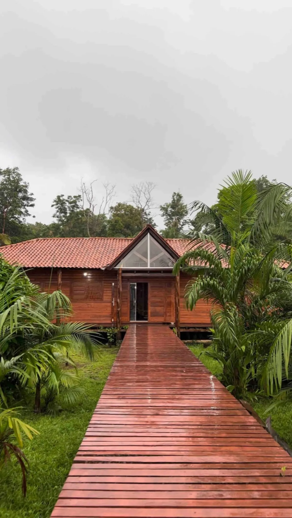 Lodge na floresta